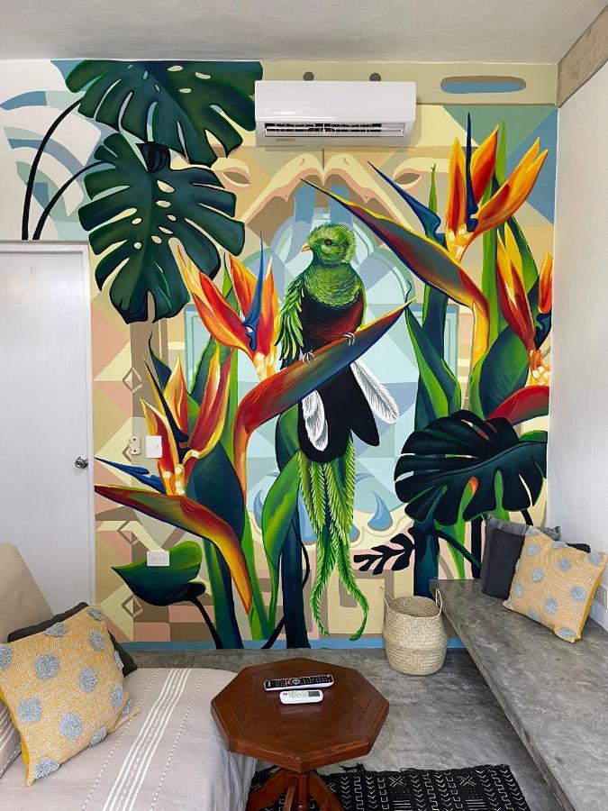 Katalox Jungle Lofts By Simply Comfort Tulum Centre Rooftop Patio & Pool Apartment Ngoại thất bức ảnh