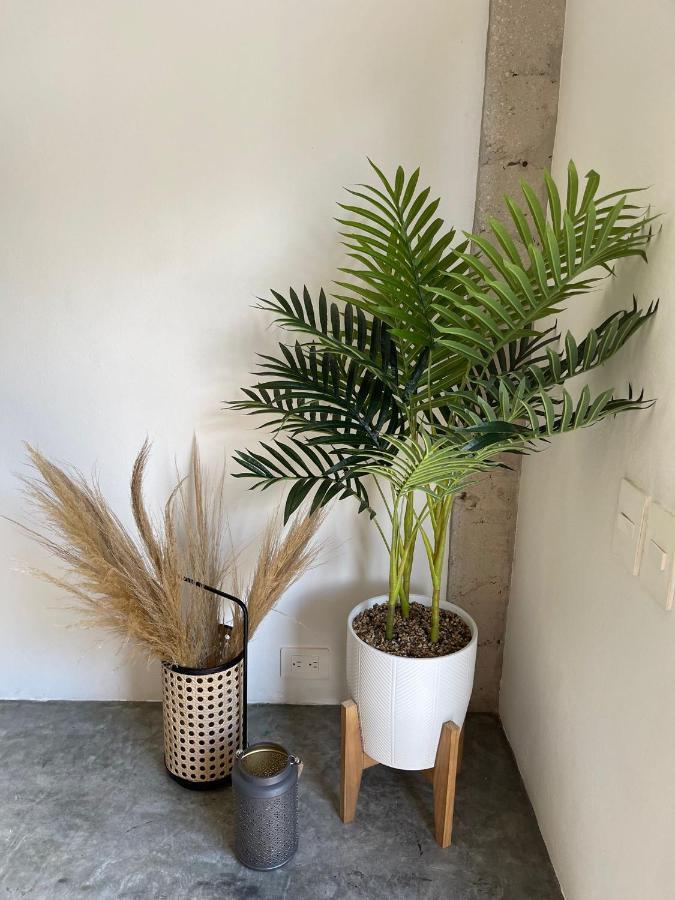 Katalox Jungle Lofts By Simply Comfort Tulum Centre Rooftop Patio & Pool Apartment Ngoại thất bức ảnh